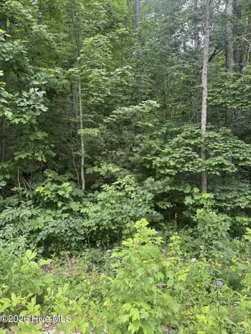 78 Lt 78 Pitch Pine Drive Sylva NC 28779