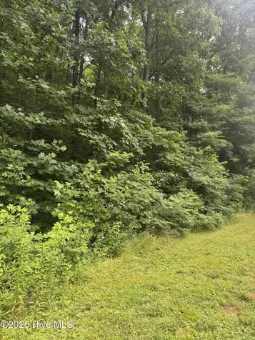 78 Lt 78 Pitch Pine Drive Sylva NC 28779