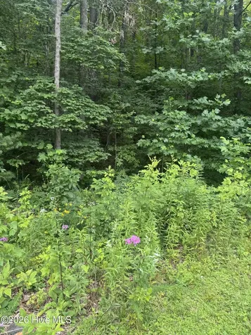 78 Lt 78 Pitch Pine Drive Sylva NC 28779