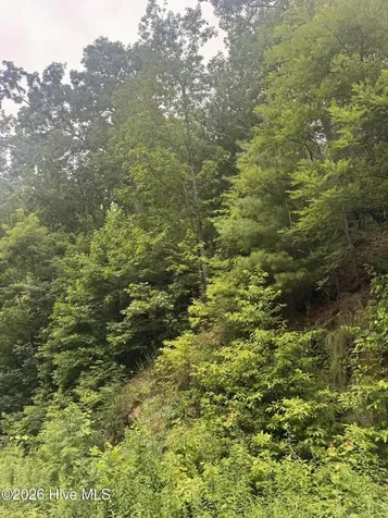 78 Lt 78 Pitch Pine Drive Sylva NC 28779
