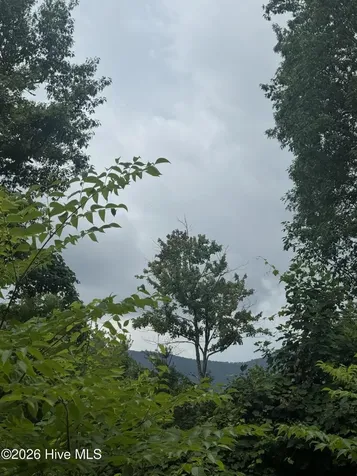 78 Lt 78 Pitch Pine Drive Sylva NC 28779