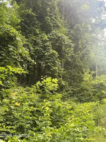 78 Lt 78 Pitch Pine Drive Sylva NC 28779