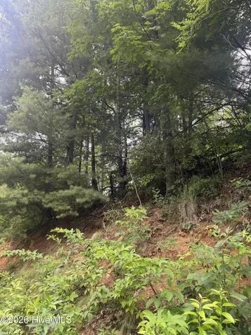 78 Lt 78 Pitch Pine Drive Sylva NC 28779