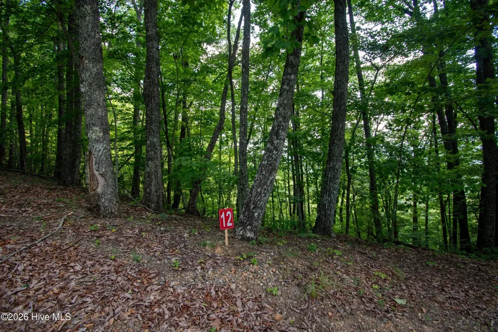 0 Desoto Trail Marble NC 28905