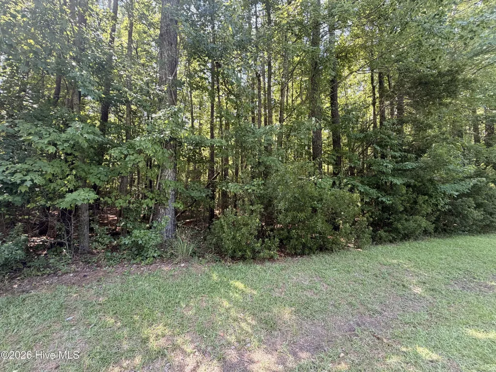 Lot 18 Off Sr 1119 Blounts Creek NC 27814