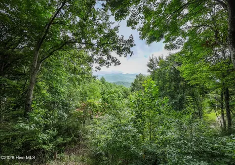 259 Laurel Lane Topton NC 28781