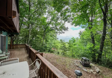 259 Laurel Lane Topton NC 28781
