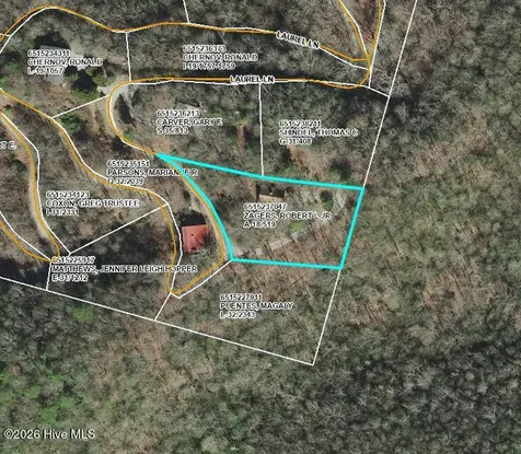 259 Laurel Lane Topton NC 28781