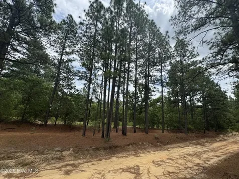 000 Lizzie Jeter Lane Cameron NC 28326