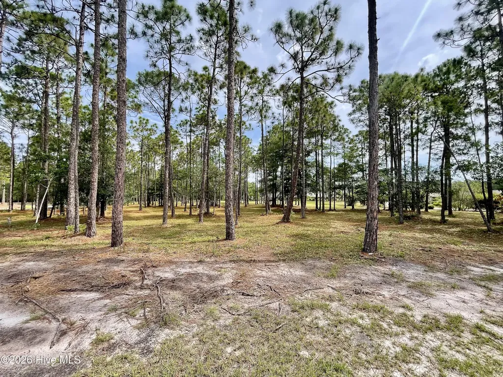 6804 Beckman Circle SW Ocean Isle Beach NC 28469
