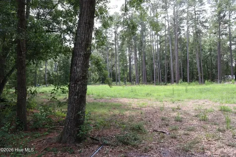Tbd Hayne Stretch Road Roseboro NC 28382