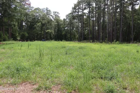 Tbd Hayne Stretch Road Roseboro NC 28382