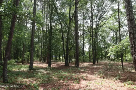 Tbd Hayne Stretch Road Roseboro NC 28382