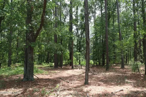 Tbd Hayne Stretch Road Roseboro NC 28382