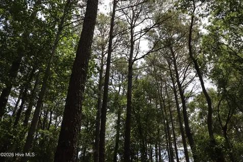Tbd Hayne Stretch Road Roseboro NC 28382