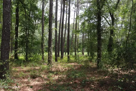 Tbd Hayne Stretch Road Roseboro NC 28382
