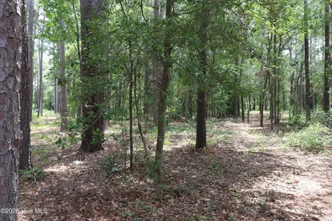 Tbd Hayne Stretch Road Roseboro NC 28382