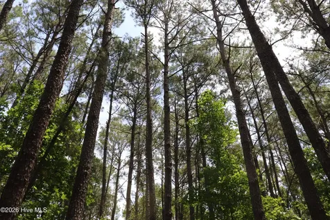 Tbd Hayne Stretch Road Roseboro NC 28382