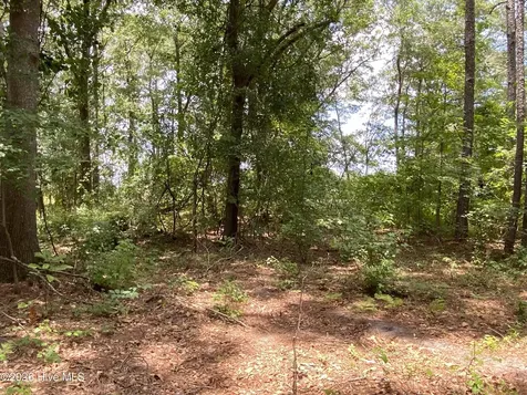 Tbd Hayne Stretch Road Roseboro NC 28382