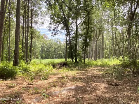 Tbd Hayne Stretch Road Roseboro NC 28382