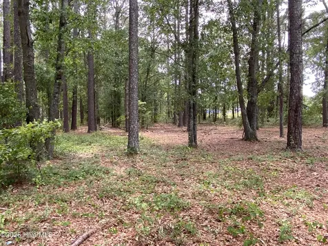 Tbd Hayne Stretch Road Roseboro NC 28382