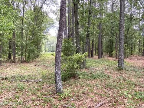 Tbd Hayne Stretch Road Roseboro NC 28382