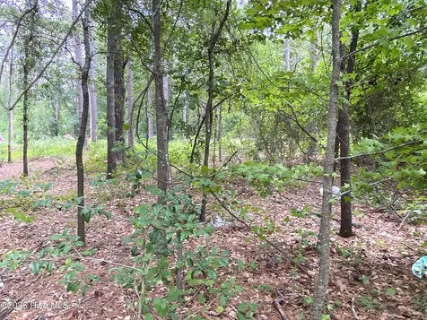 Tbd Hayne Stretch Road Roseboro NC 28382
