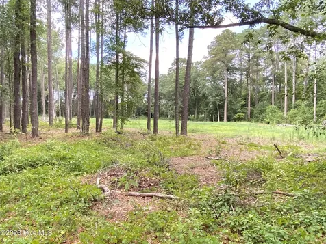 Tbd Hayne Stretch Road Roseboro NC 28382