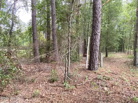 Tbd Hayne Stretch Road Roseboro NC 28382
