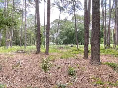 Tbd Hayne Stretch Road Roseboro NC 28382