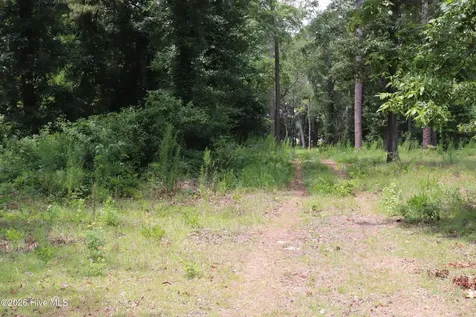 Tbd Hayne Stretch Road Roseboro NC 28382