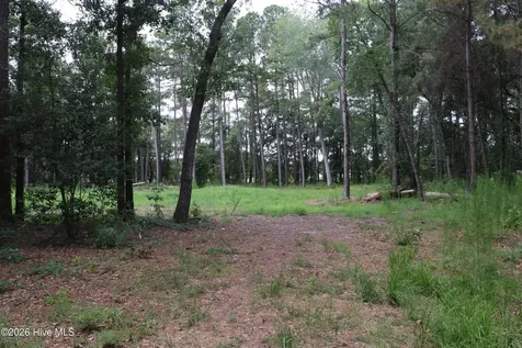 Tbd Hayne Stretch Road Roseboro NC 28382