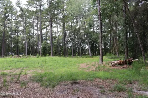 Tbd Hayne Stretch Road Roseboro NC 28382