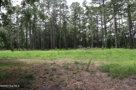 Tbd Hayne Stretch Road Roseboro NC 28382