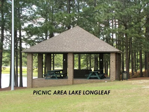 289 Firetree Lane West End NC 27376
