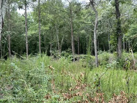 Lot 17 Brookwind Lane Dunn NC 28334