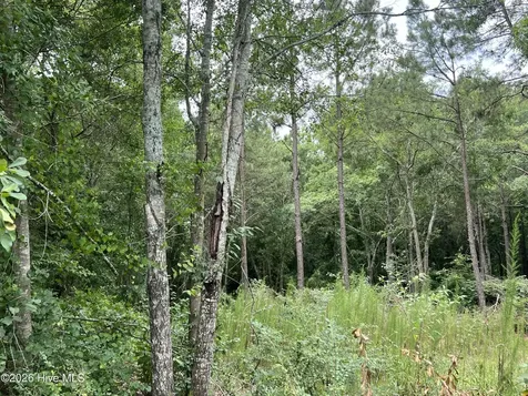 Lot 17 Brookwind Lane Dunn NC 28334