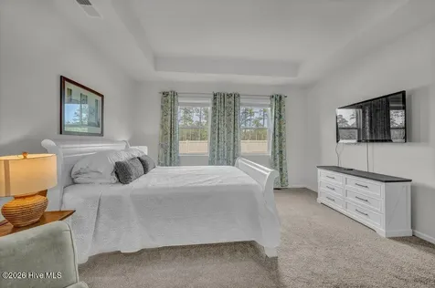 2052 Willowleaf Drive Leland NC 28451