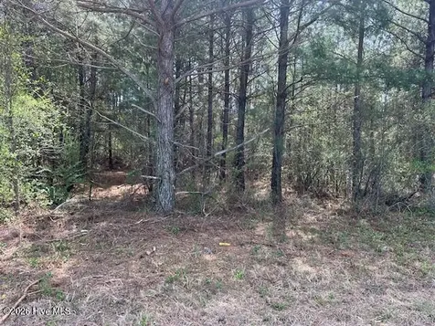 0 Mintz Road Roseboro NC 28382