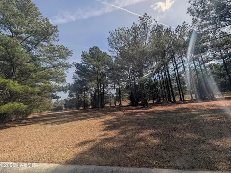 117 Cedar Point Drive Wallace NC 28466