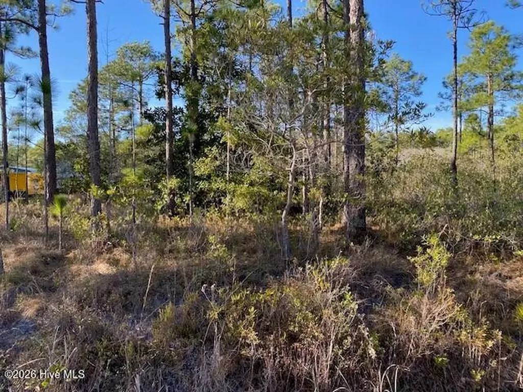 Lot 79 Sunset Drive Boiling Spring Lakes NC 28461