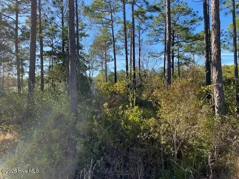 Lot 79 Sunset Drive Boiling Spring Lakes NC 28461
