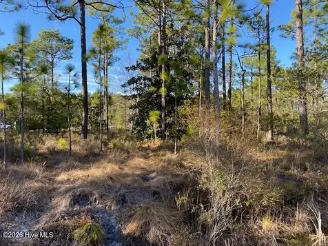 Lot 79 Sunset Drive Boiling Spring Lakes NC 28461