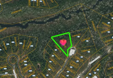 695 Madeira Islands Drive SE Bolivia NC 28422