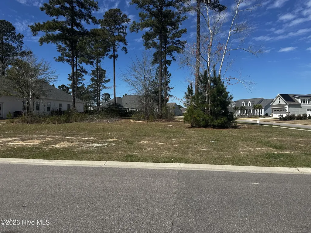 2572 E Timber Crest Drive NE Leland NC 28451