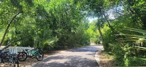 619 Wash Woods Way Bald Head Island NC 28461