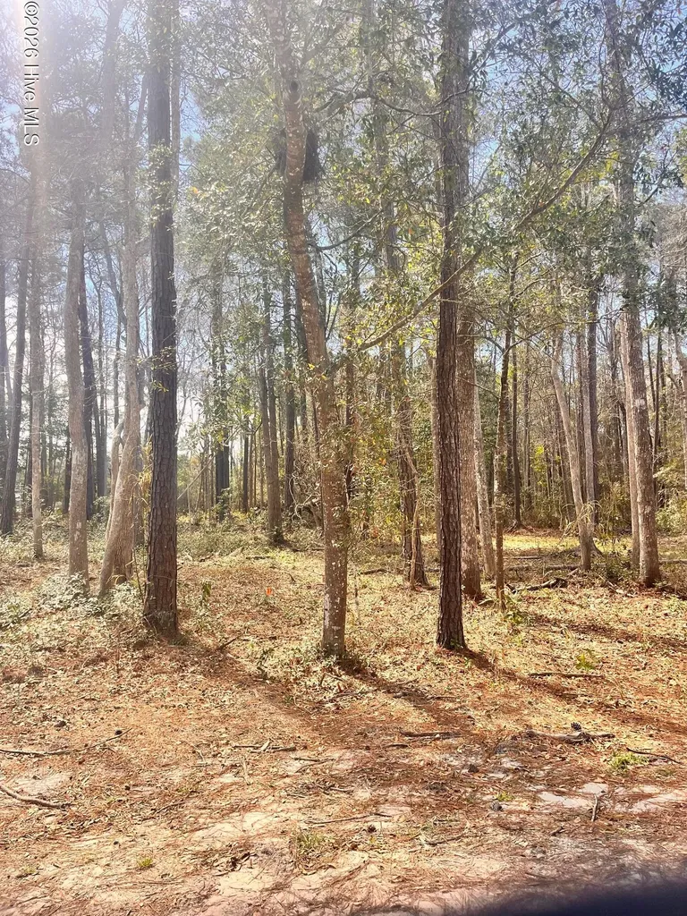 565 Third Street SE Bolivia NC 28422