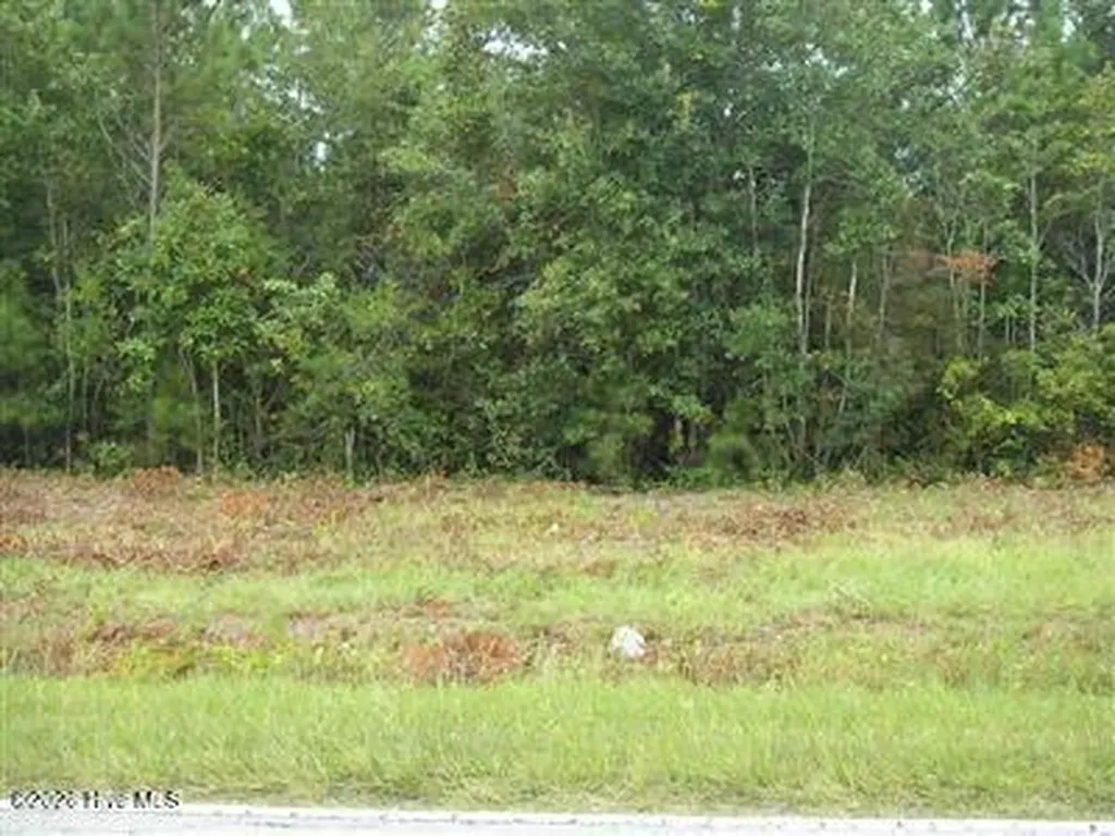 1055 Ferry Landing Drive SW Supply NC 28462