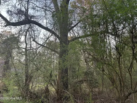 351 Burgaw Creek Loop Road Burgaw NC 28425