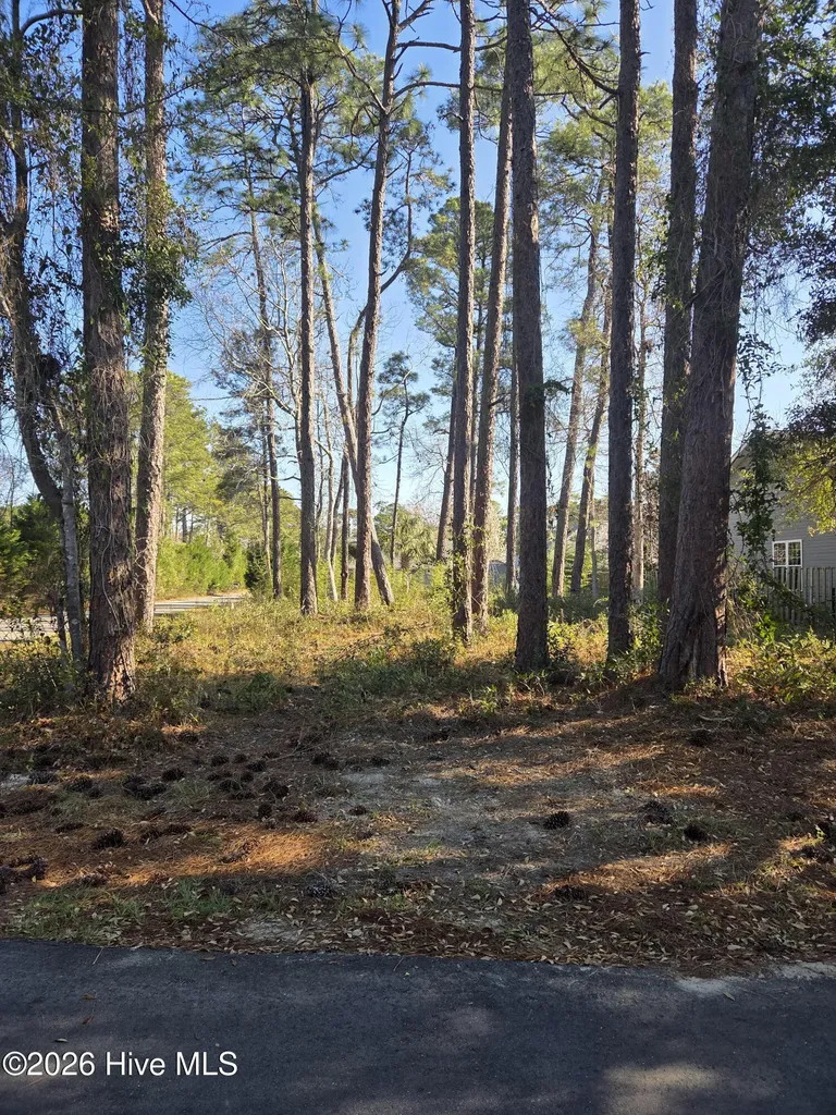 1 Court 11 Northwest Drive Carolina Shores NC 28467